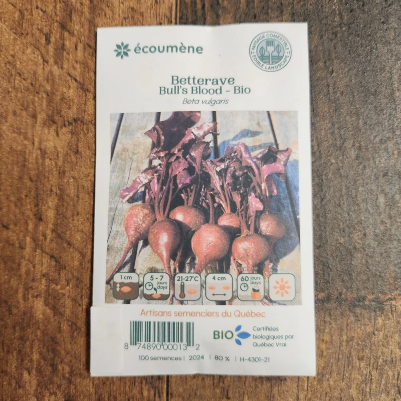 Betterave ‘Bull’s Blood’ ( Beta vulgaris )