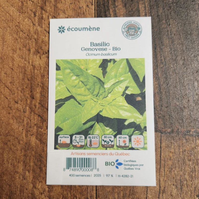Basilic ‘Genovese’ ( Ocimum basilicum )