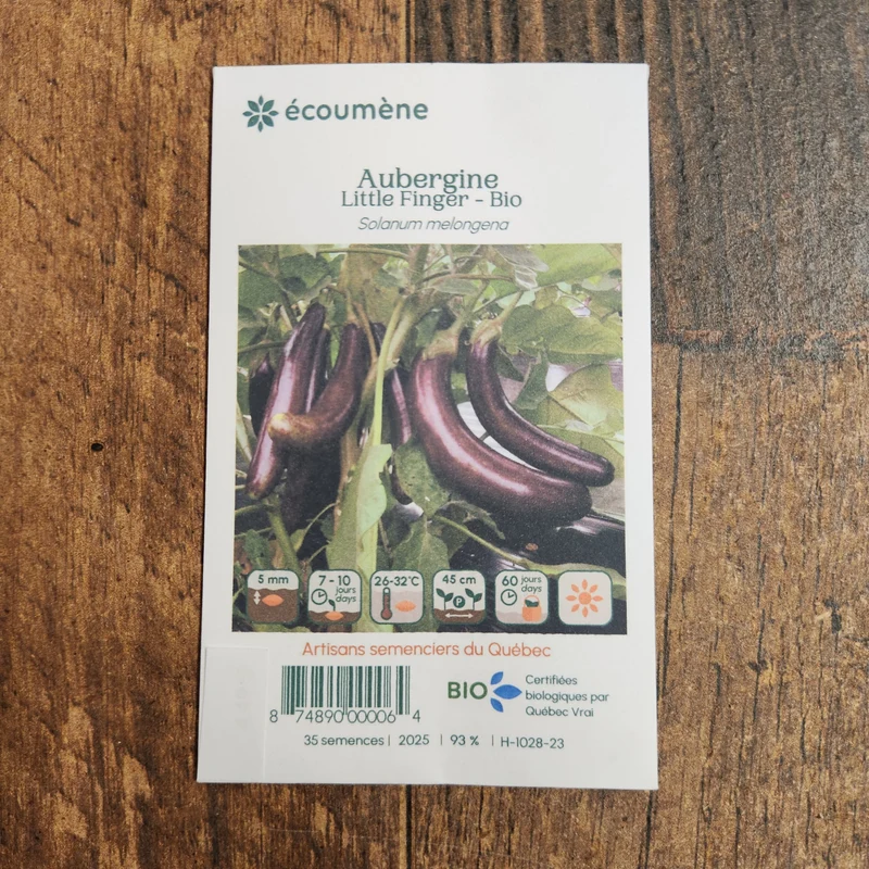 Aubergine ‘Little Finger’ ( Solanum melongena )