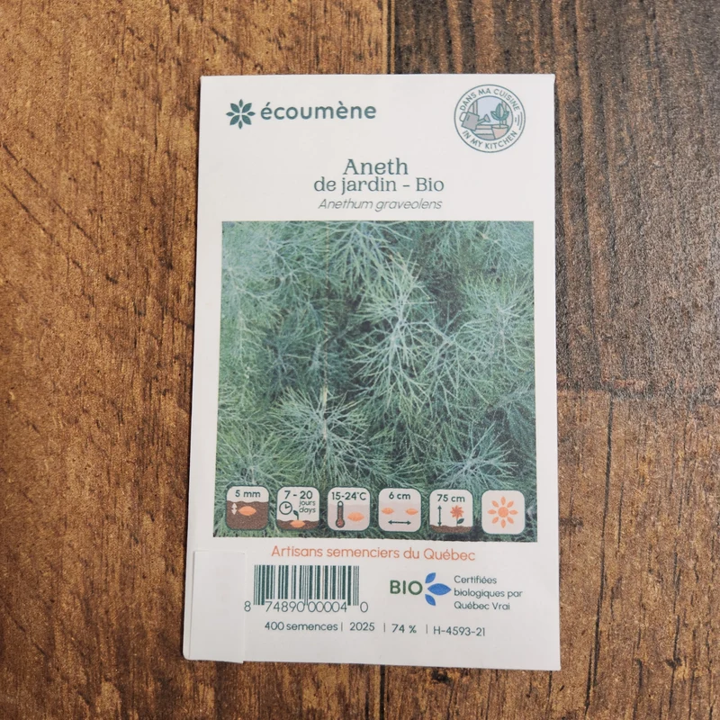 Aneth de jardin ( Anethum graveolens )
