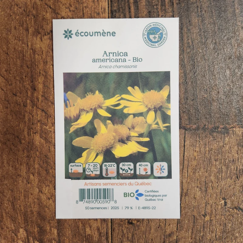Arnica americana ( Arnica chamissonis )