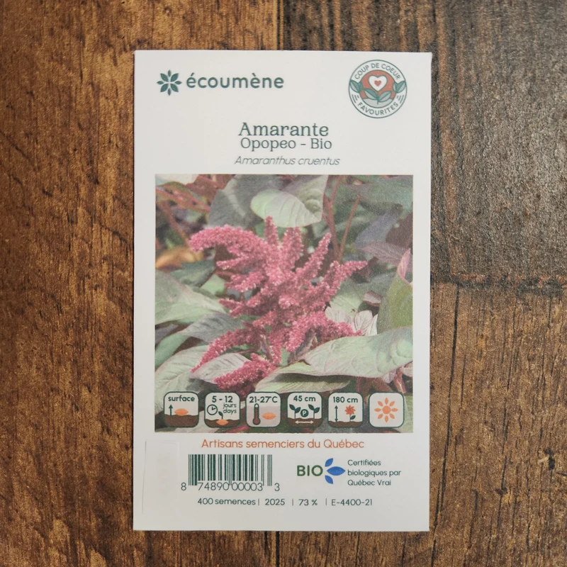 Amarante ‘Opopeo’ ( Amaranthus cruentus )