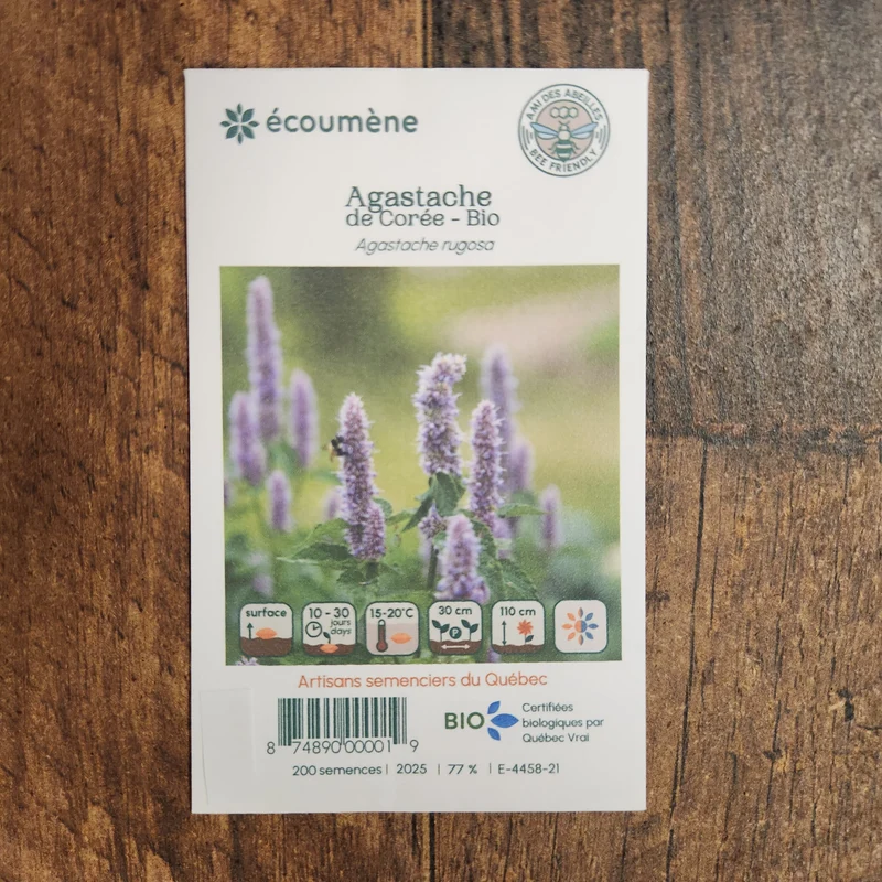 Agastache de Corée ( Agastache rugosa )