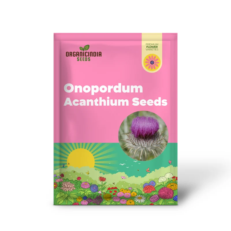 Onopordum Acanthium Seeds (Scotch Thistle Seeds) - Hardy Biennial for Gardening Enthusiasts