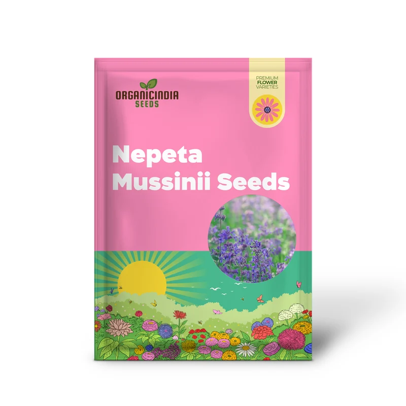 Nepeta Mussinii Seeds for Vibrant Garden Blooms | Hardy Perennial for Lush Greenery