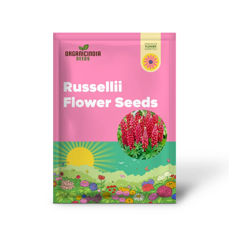 Lupinus x russellii 'My Castle' Flower Seeds for Planting, Majestic Addition to Your Garden, Premium Quality Gardening Seeds