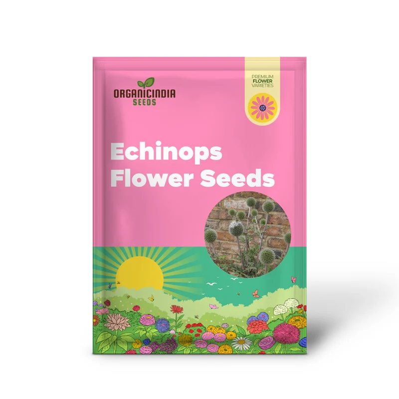 Echinops Tienshanica 'Blue Glow' Flower Seeds, Premium Quality Organic Seeds for Planting