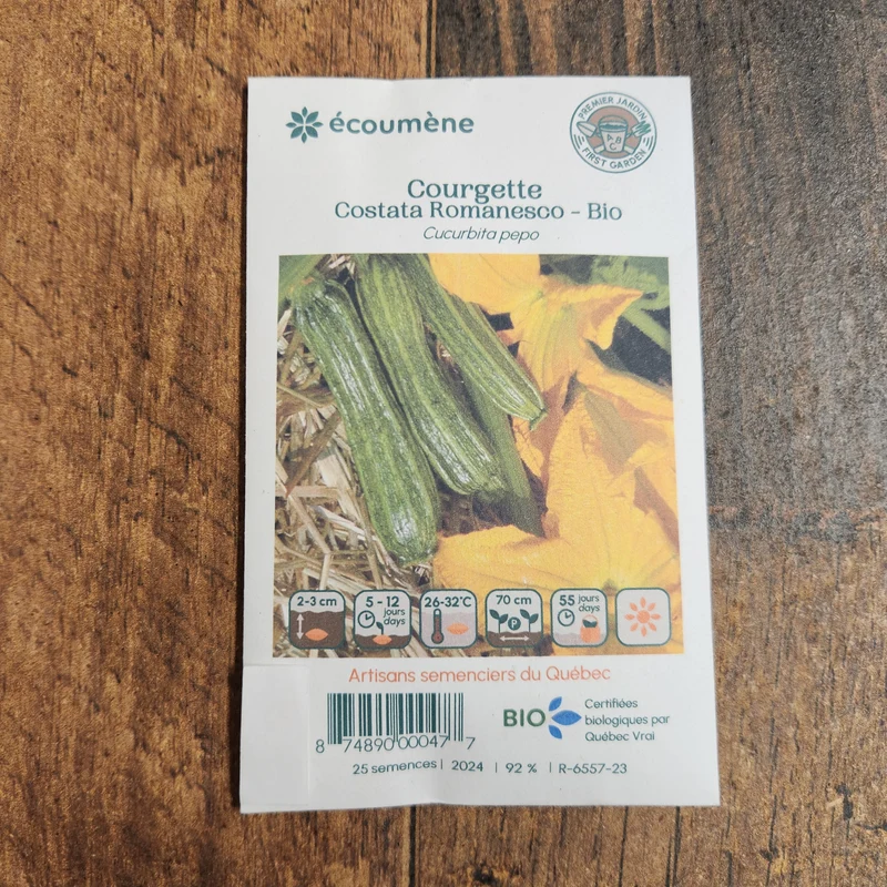 Courgette ‘Costata Romanesco’ ( Cucurbita pepo )