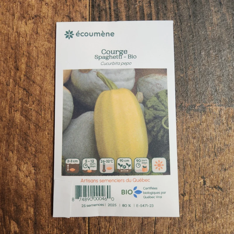 Courge ‘Spaghetti’ ( Cucurbita pepo )