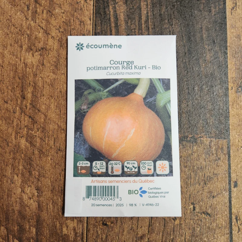 Courge ‘Red Kuri’ ( Cucurbita maxima )