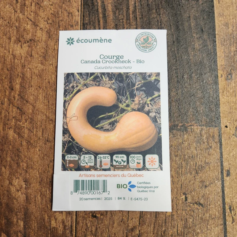 Courge ‘Canada Crookneck’ ( Cucurbita moschata )