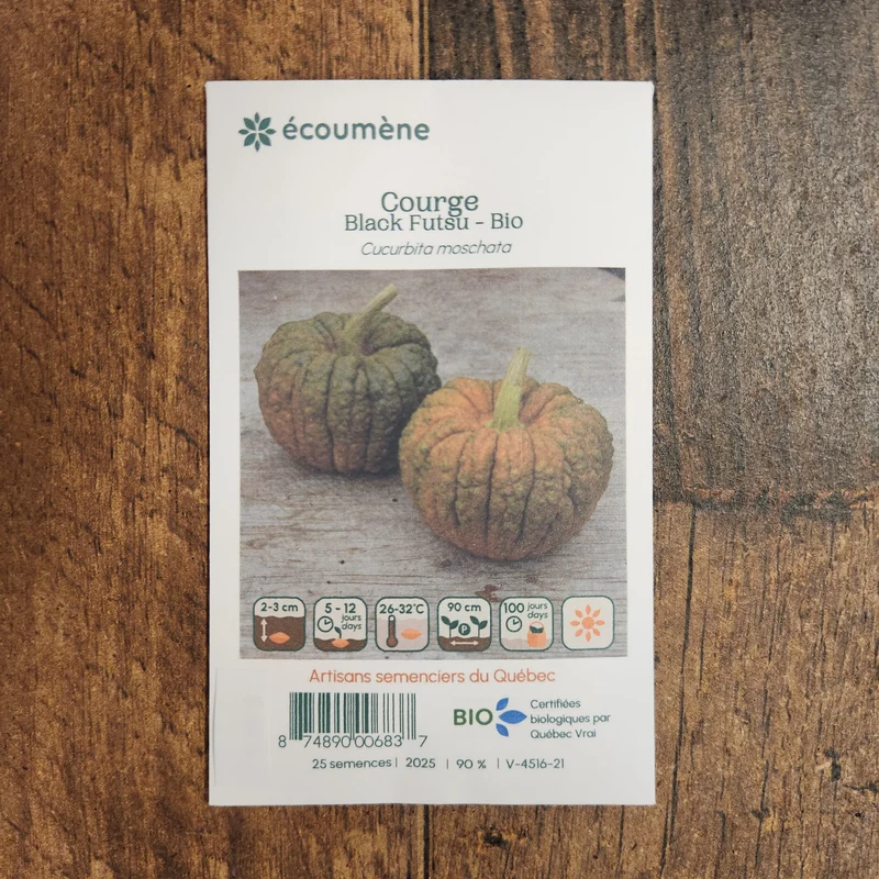 Courge ‘Black Futsu’ ( Cucurbita moschata )