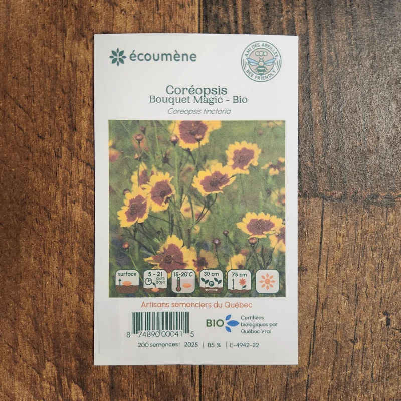 Coréopsis Bouquet Magic ( Coreopsis tinctoria )
