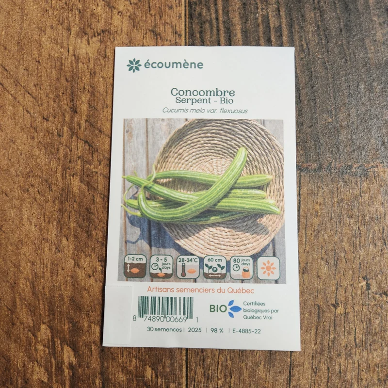 Concombre ‘Serpent’ ( Cucumis melo var. flexuosus )