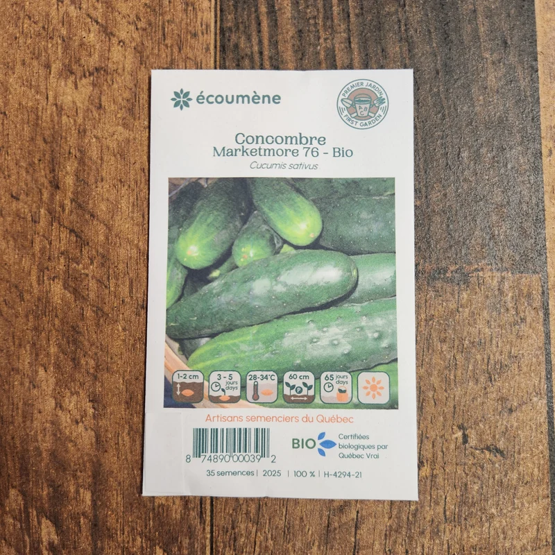 Concombre ‘Marketmore 76’ ( Cucumis sativus )