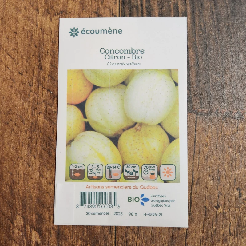 Concombre ‘Citron’ ( Cucumis sativus )