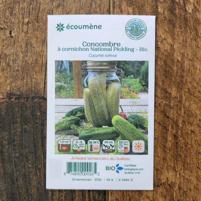 Concombre à cornichon ‘National Pickling’ ( Cucumis sativus )