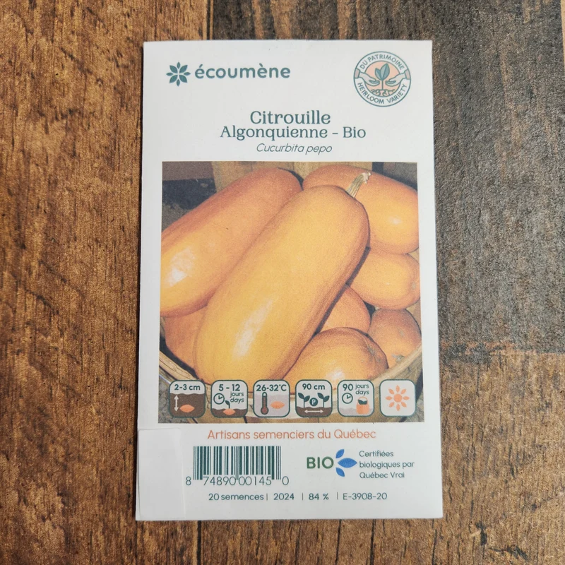 Citrouille ‘Algonquienne’ ( Cucurbita pepo )