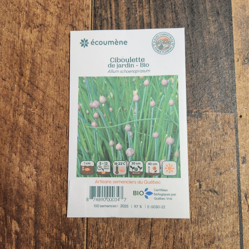 Ciboulette de jardin ( Allium schoenoprasum )