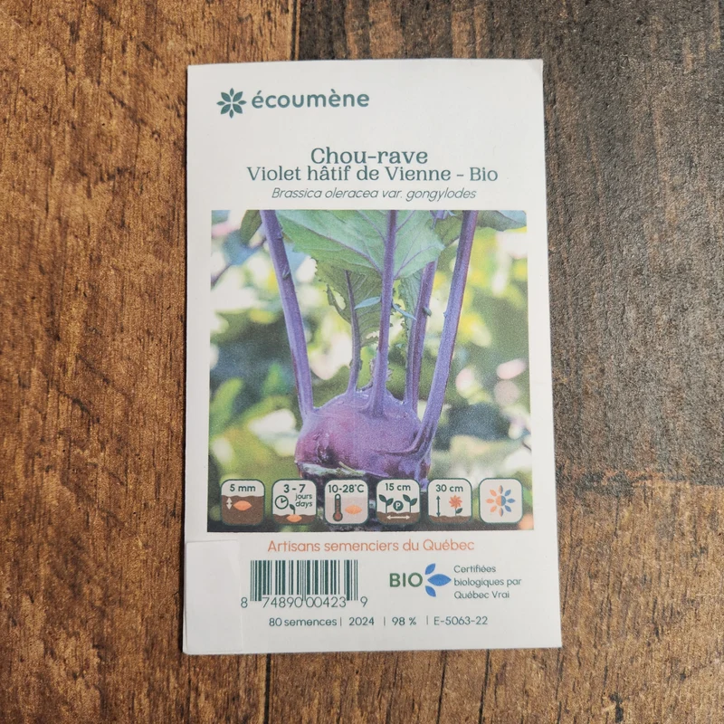 Chou-rave ‘Violet hâtif de Vienne’ ( Brassica oleracea var. gongylodes )