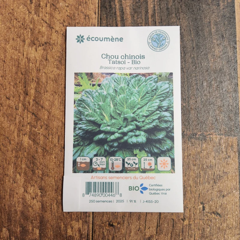 Chou chinois ‘Tatsoi’ ( Brassica rapa subsp. narinosa )