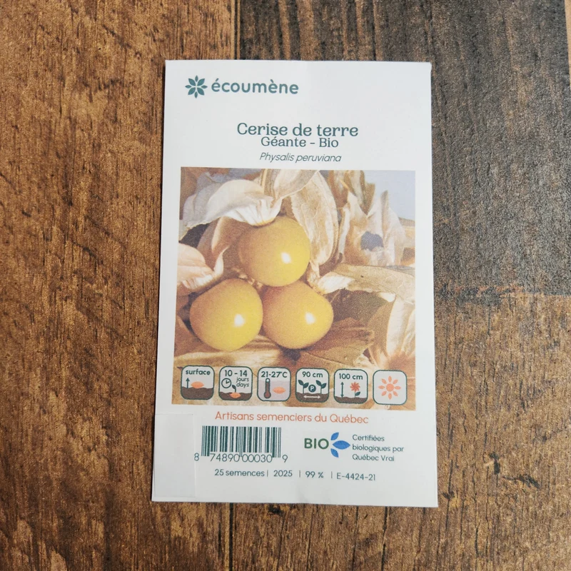 Cerise de terre géante ( Physalis peruviana )