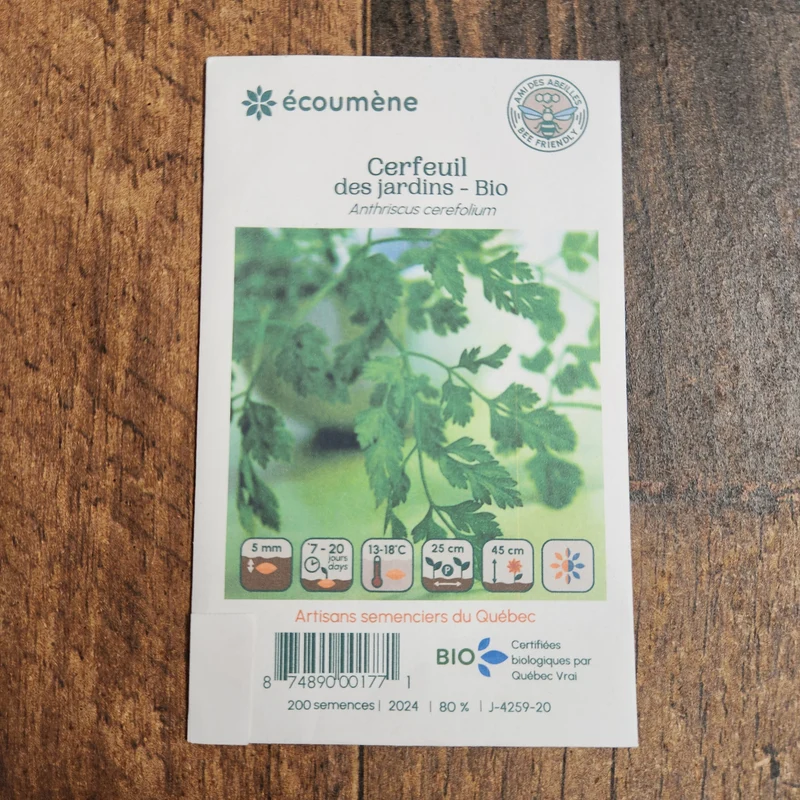 Cerfeuil des jardins ( Anthriscus cerefolium )