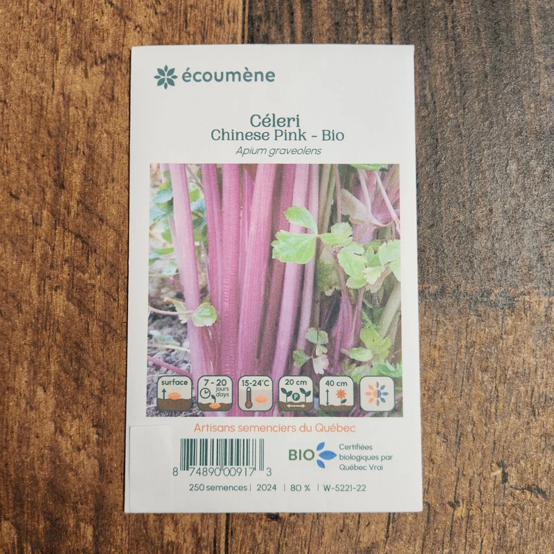 Céleri ‘Chinese Pink’ ( Apium graveolens )
