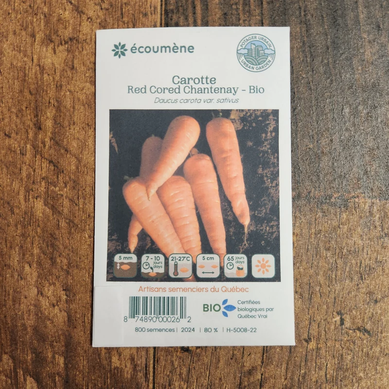 Carotte ‘Red Cored Chantenay’ ( Daucus carota subsp. sativus )
