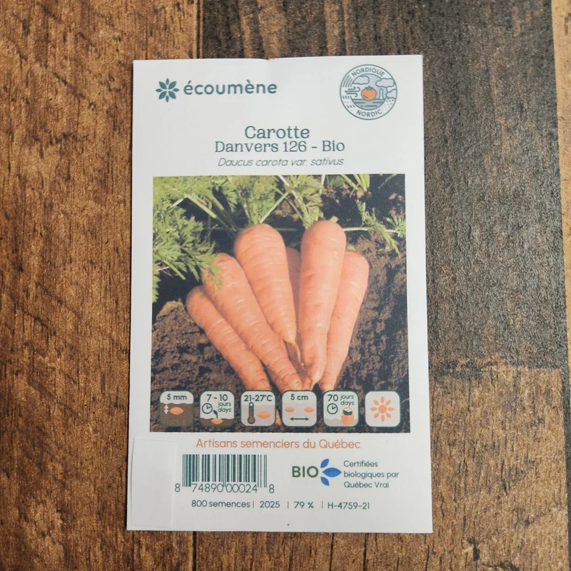 Carotte ‘Danvers 126’ ( Daucus carota subsp. sativus )