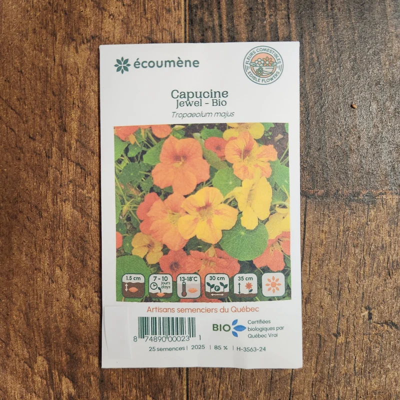 Capucine ‘Jewel’ ( Tropaeolum majus )