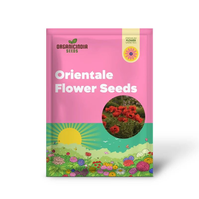 PAPAVER ORIENTALE 'BRILLIANT' Seeds for Vibrant Garden Blooms | Hardy Perennial Flower Seeds for Stunning Gardening Projects