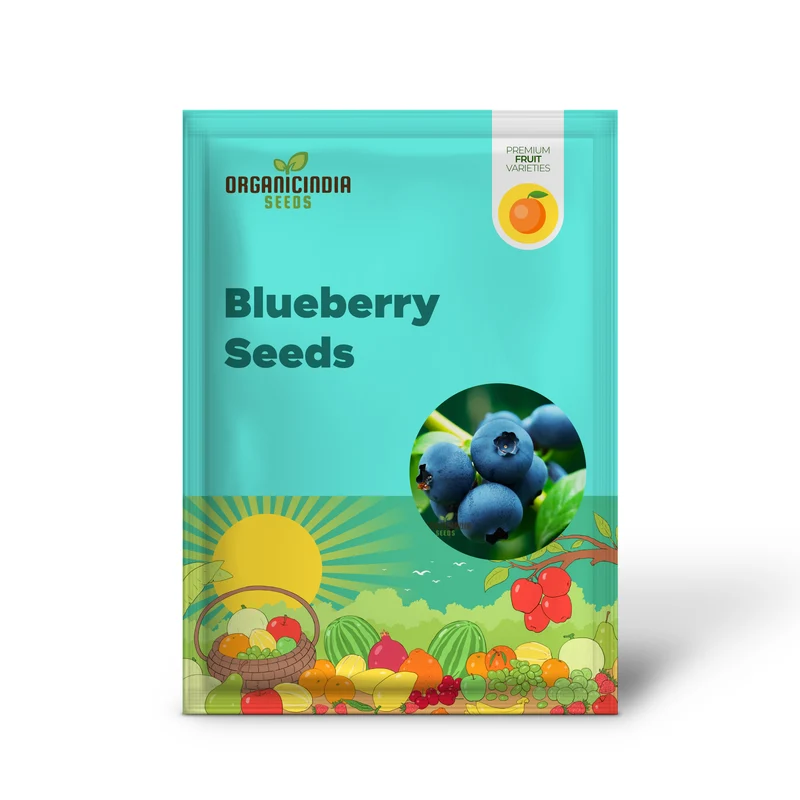 Blueberry Seeds for Planting, Perfect for Home Gardens & Containers