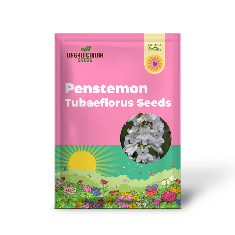 Penstemon Tubaeflorus Seeds for Vibrant Blooms and Delightful Gardening!