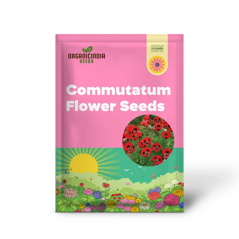 Papaver Commutatum 'Ladybird' Seeds for Vibrant Garden Blooms | Hardy Annual Flower Seeds for Seasonal Gardening Enthusiasts
