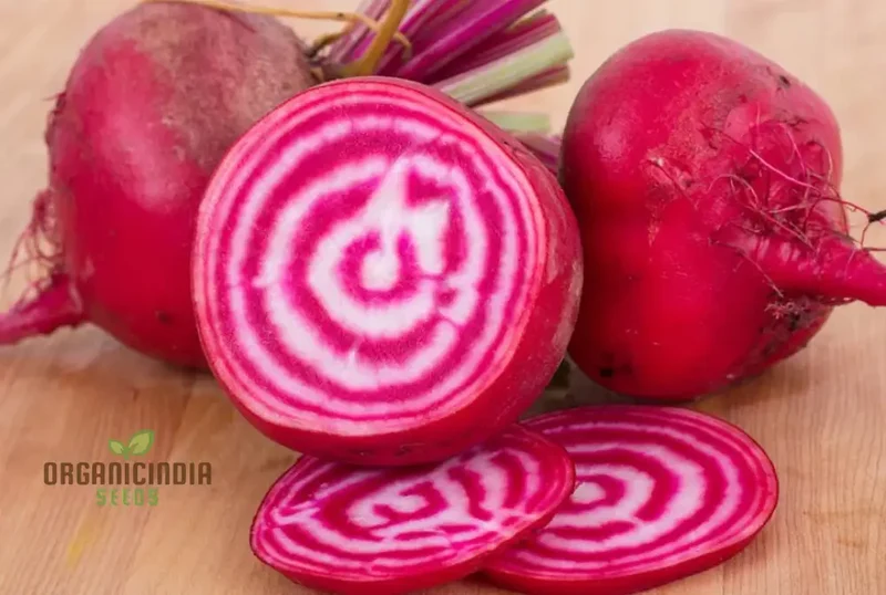 BEETROOT CHIOGGIA Seeds for Planting| Organic Gardening Seeds