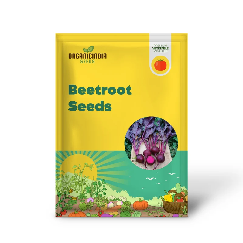 BEETROOT BEET LEAF BULLS BLOOD SCARLETTA Seeds for Planting