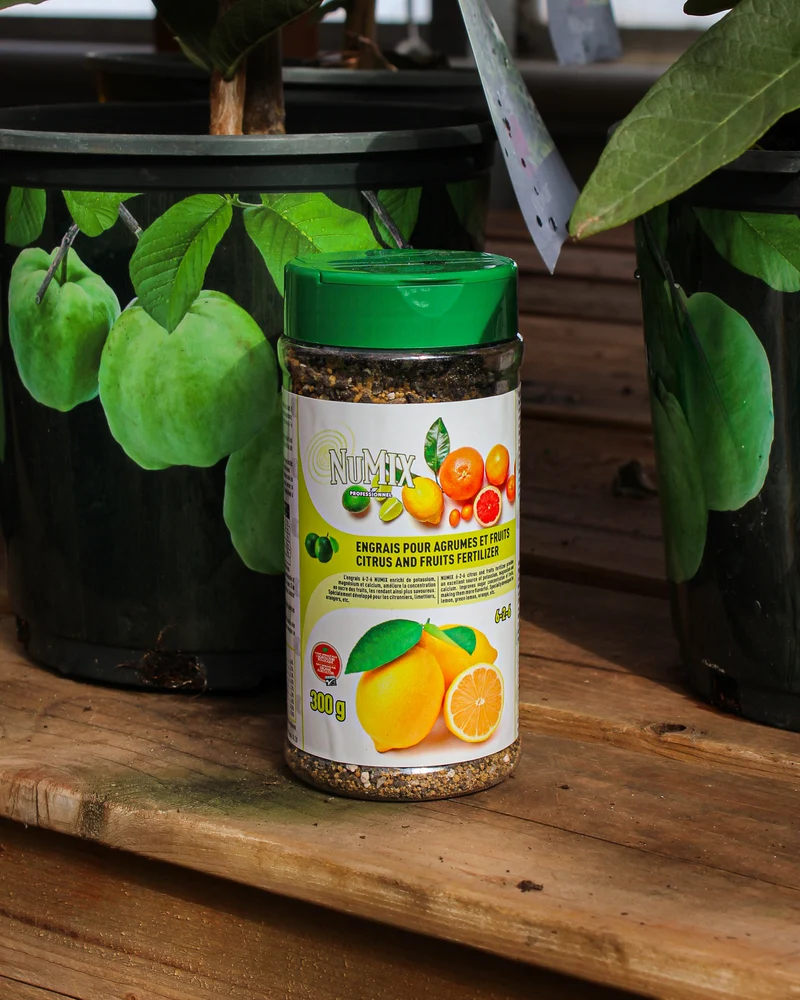 Engrais pour agrumes et fruits Numix 6-2-6