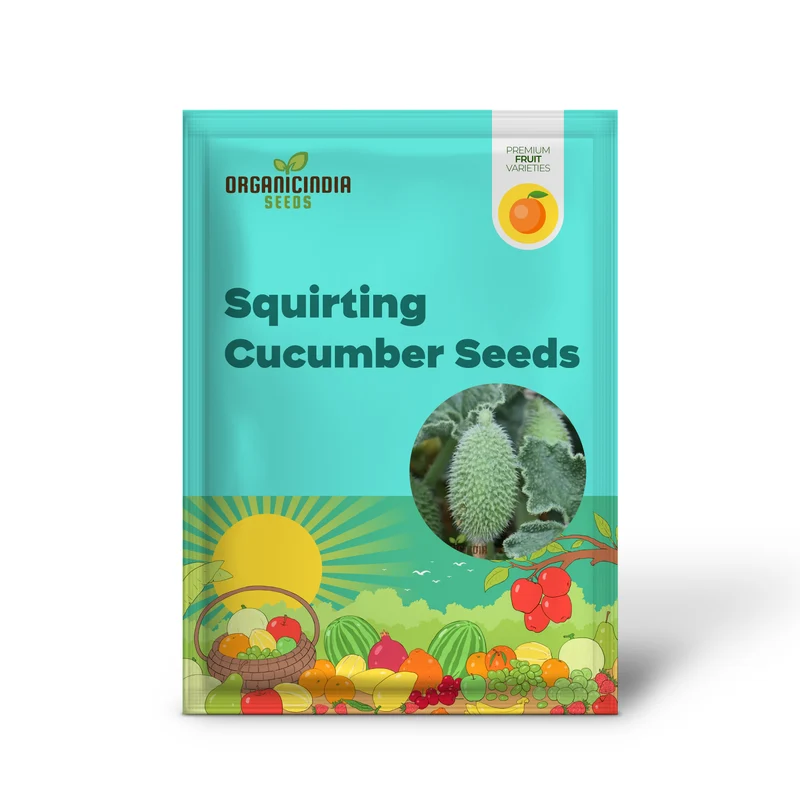 Ecballium Elaterium (Squirting Cucumber) Seeds For Planting, Tips and Gardening Insights