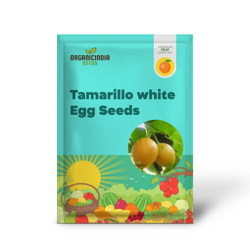 TAMARILLO WHITE EGG Seeds for Your Gardening Success