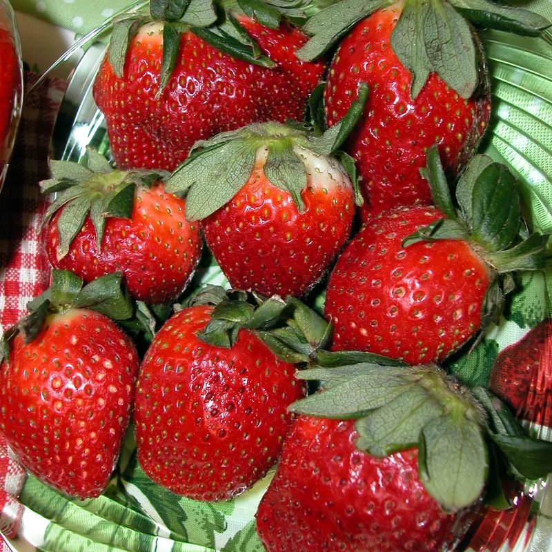 Duchesnea Harlequin Strawberry fruit Seeds, Growing Exquisite Fruits and Seeds for Your Gardening and Planting Pleasure
