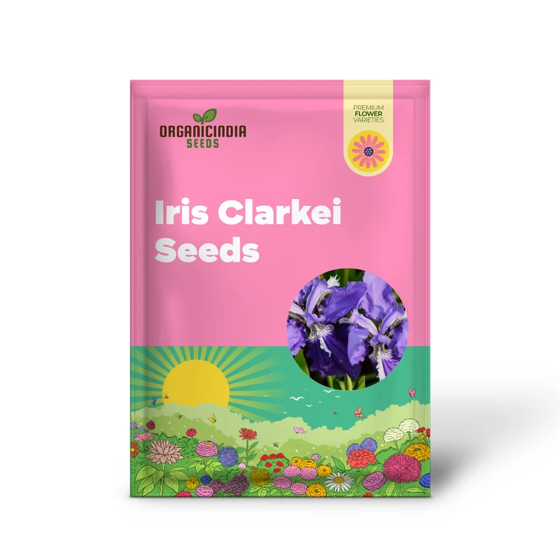 Iris Clarkei Seeds : Exquisite Perennial for Your Garden - Hardy, Beautiful, and Easy to Grow