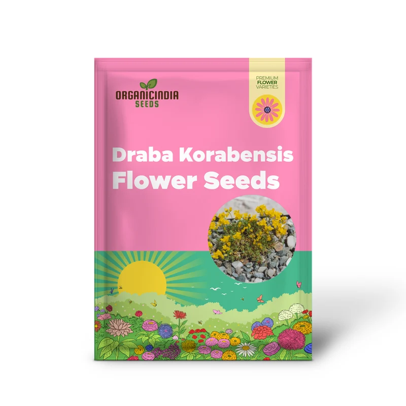 Draba Korabensis Flower Seeds For Planting, Rare Alpine Elegance for Your Garden