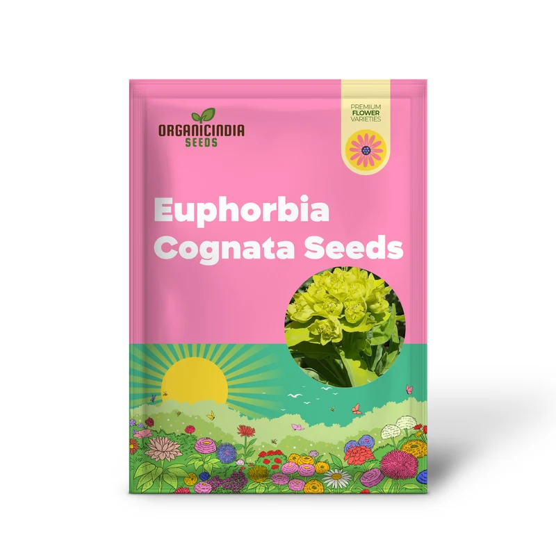 Euphorbia Cognata Seeds for Planting, Hardy Perennial Variety with Unique Foliage