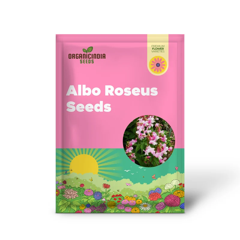 Lathyrus Vernus Albo Roseus Seeds Elevate Your Gardening Experience with Delicate Beauty and Timeless Elegance!