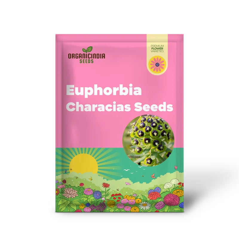 Euphorbia Characias 'Dwarf Black Pearl' Seeds - Planting Instructions Included