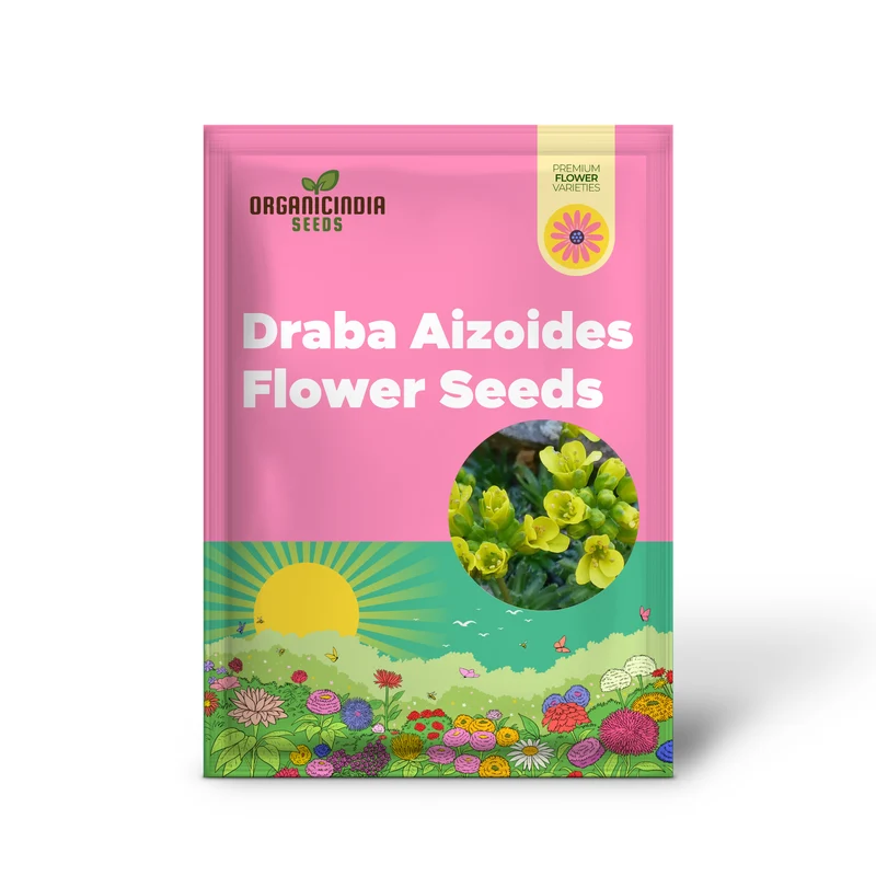 Draba Aizoides Flower Seeds For Planting, A Touch of Alpine Splendor