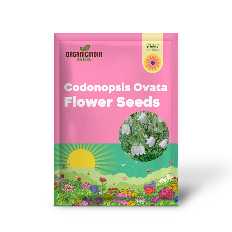 Codonopsis Ovata Flower Seeds for Planting, Premium Quality Seeds for Cultivating Beautiful Blooms Gardening