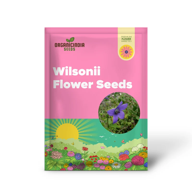Codonopsis Grey-Wilsonii Flower Seeds for Planting, Premium Quality for Gardening
