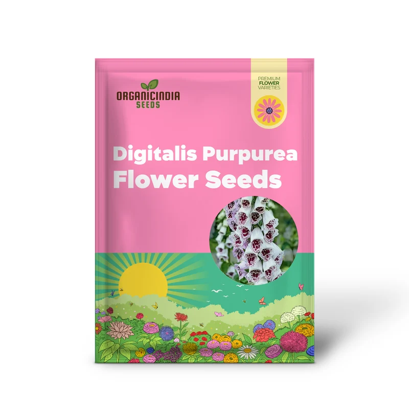 Digitalis Purpurea 'Elsey Kelsey' Flower For Planting, Growing Enchanting Elegance